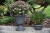 Doniczka misa Verona Verdenia 20 cm grafit – okrągła, 2 L