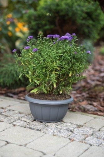 Doniczka misa Verona Verdenia 23 cm terracotta – okrągła, 2,5 L