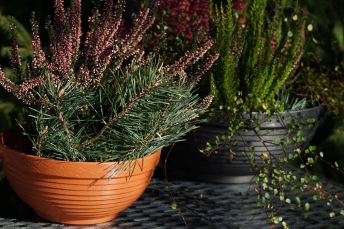 Doniczka misa Verona Verdenia 23 cm grafitowa – okrągła, 2,5 L