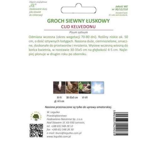 Groch łuskowy Cud Kelvedonu 40 g – wczesna, plenna odmiana