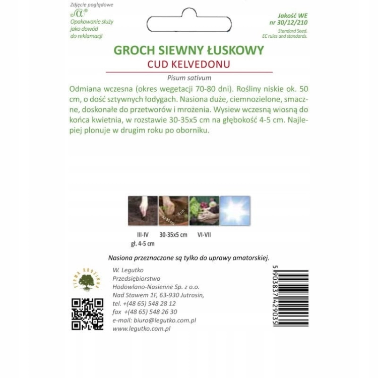 Groch łuskowy Cud Kelvedonu 40 g – wczesna, plenna odmiana