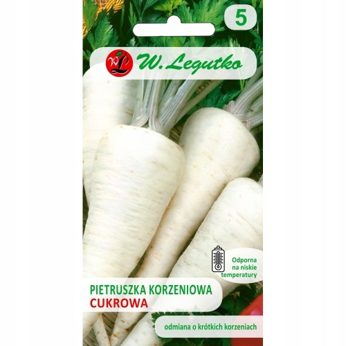 Pietruszka korzeniowa Cukrowa 5 g – wczesna i aromatyczna odmiana