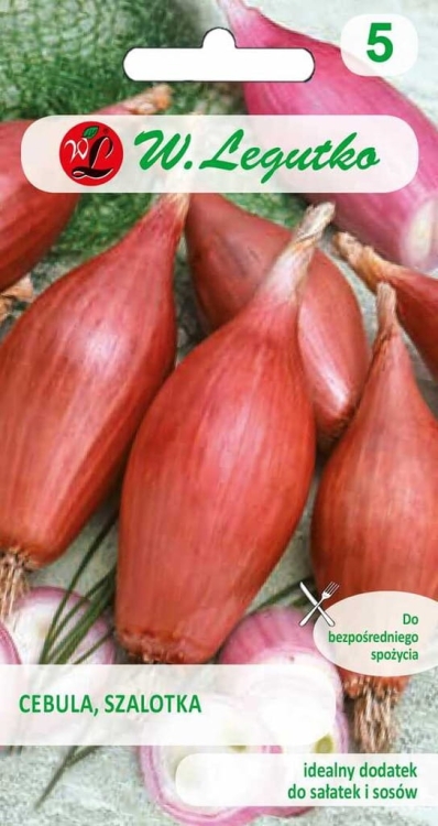 Cebula Szalotka 3 g – aromatyczna odmiana do szczypioru i cebulek