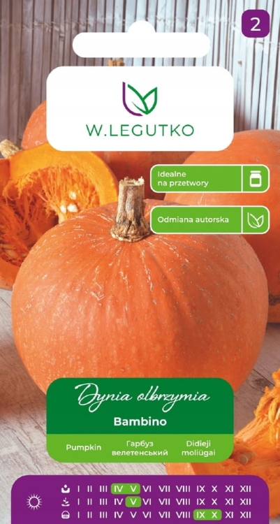 Dynia olbrzymia Bambino 4 g – plenna odmiana do przechowywania | Legutko