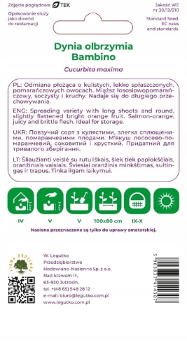Dynia olbrzymia Bambino 4 g – plenna odmiana do przechowywania | Legutko