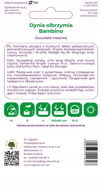 Dynia olbrzymia Bambino 4 g – plenna odmiana do przechowywania | Legutko