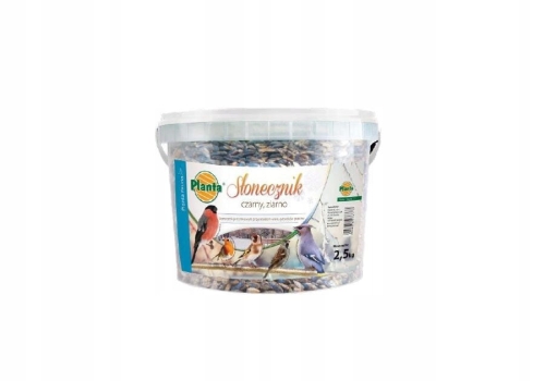 Słonecznik czarny niełuskany 2,5 kg Planta – pokarm dla ptaków