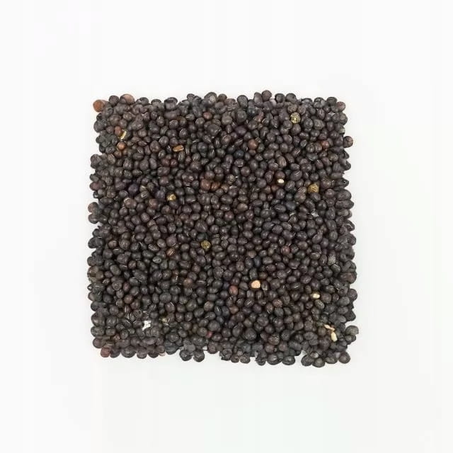 f33d31a9393ee1b60e5f164d10e55d62.jpg