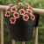 be1cf14a72f6bc9e0861b6acc10f06df.jpg