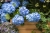 d373aaf64756b5e6f54b86a58ce78f6c.jpg