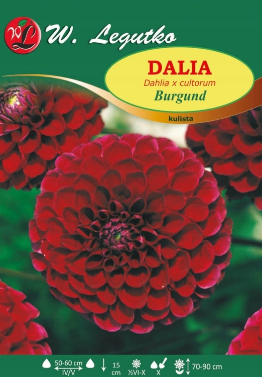 db04e575d9daa9daae2a469b3193f232.jpg
