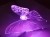 6ee616b4bb1fa1dc9e4c01521b31e58f.jpg
