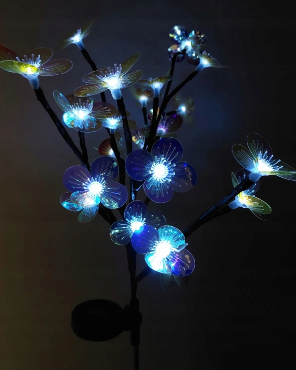 f1224237d30e9f2f86a1dd52a396b631.jpg
