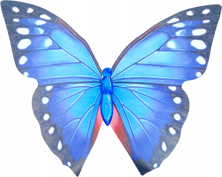 b94aefe4f6455e2c5dedf6541034bcc8.jpg