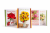 ChatGPT Image 20 kwi 2026, 15_48_47.png