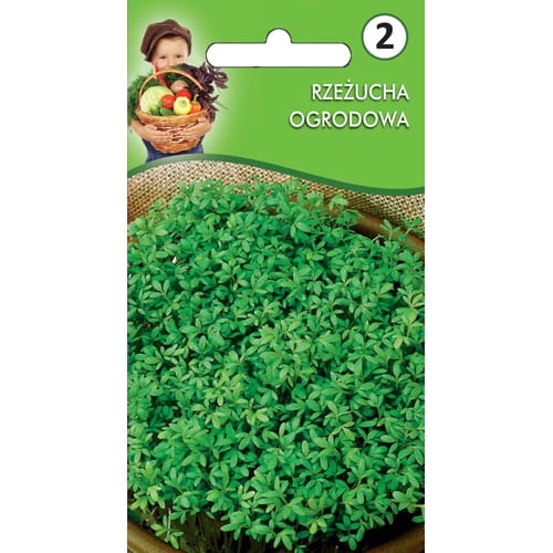 Rzeżucha ogrodowa
