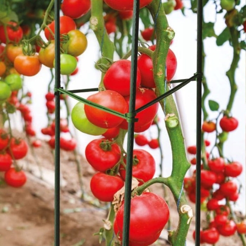 Pergola podpórka pod kwiaty pomidory Plantina 150 cm