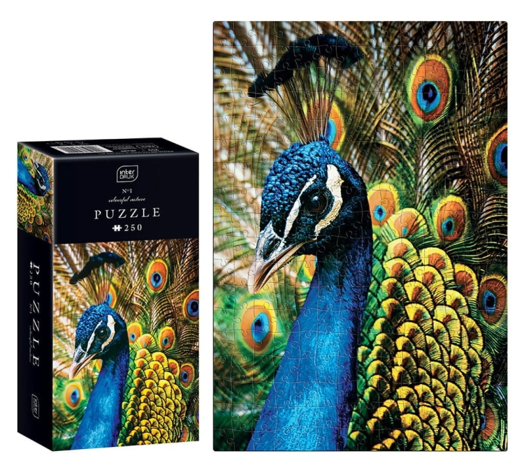 Puzzle Interdruk Colourful Nature 250 elementów Peacock Paw