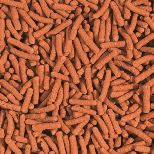Koi & Goldfish Colour Sticks – pokarm wybarwiający dla karpi koi i złotych rybek